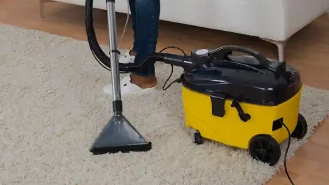 Carpet Cleaning